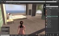 Second Life Viewer