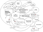 Cultural Model